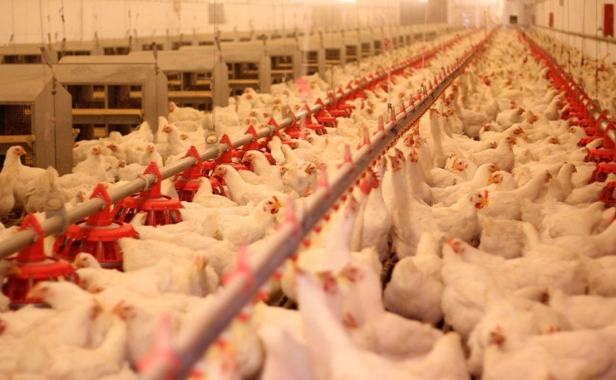 About Chemicals for<br /><strong>Farms</strong>