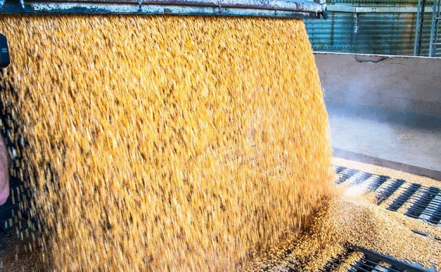 Chemicals for<br /><strong>Feed Factory</strong>