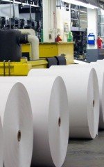 Cellulose and Paper Sector