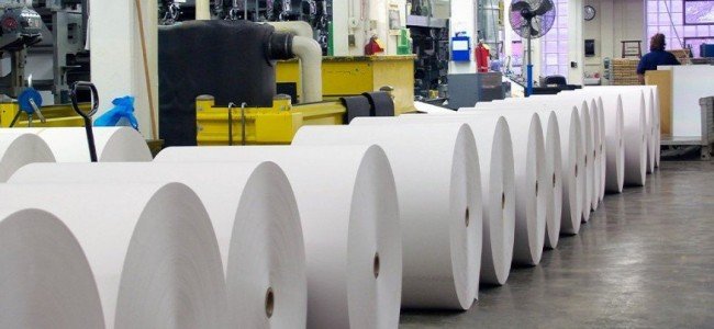 Cellulose and Paper Sector