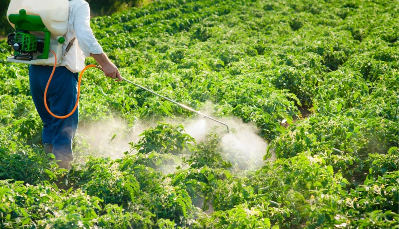 O Papel Essencial dos Produtos Químicos no Agronegócio