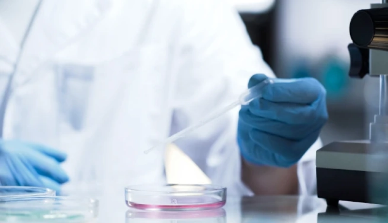 Vantagens de Trabalhar com um Distribuidor de Produtos Químicos Certificado