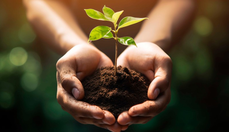 Sustentabilidade no setor químico: como a Basequímica alia inovação e respeito ao meio ambiente